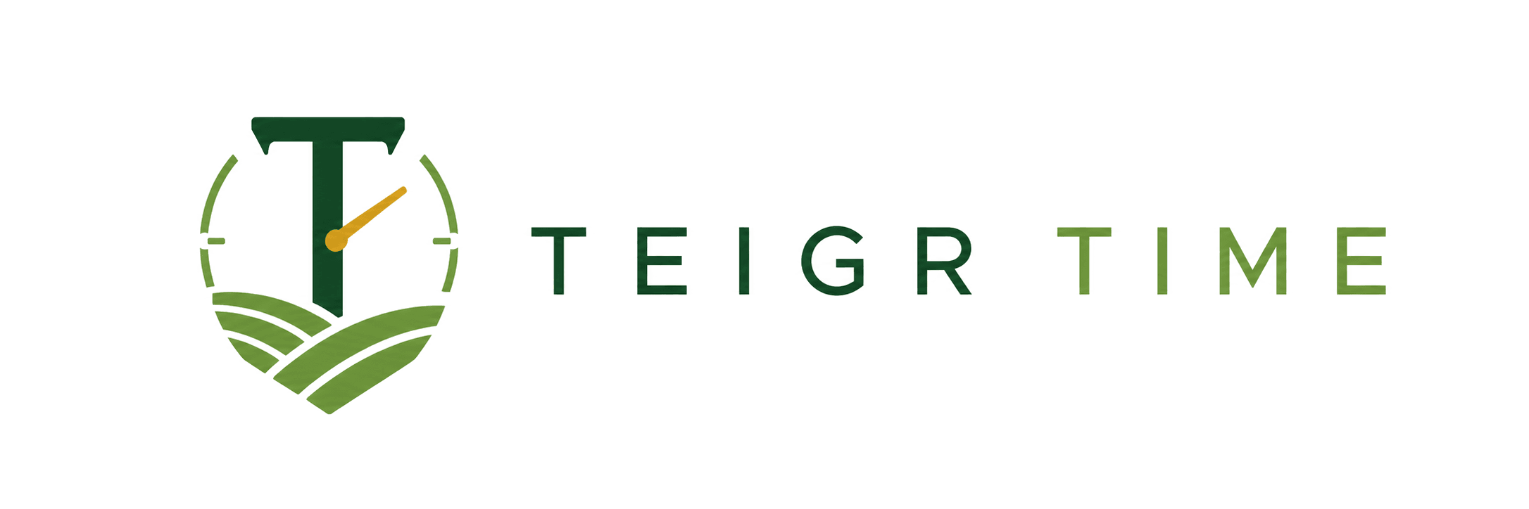 TEIGR-TIME